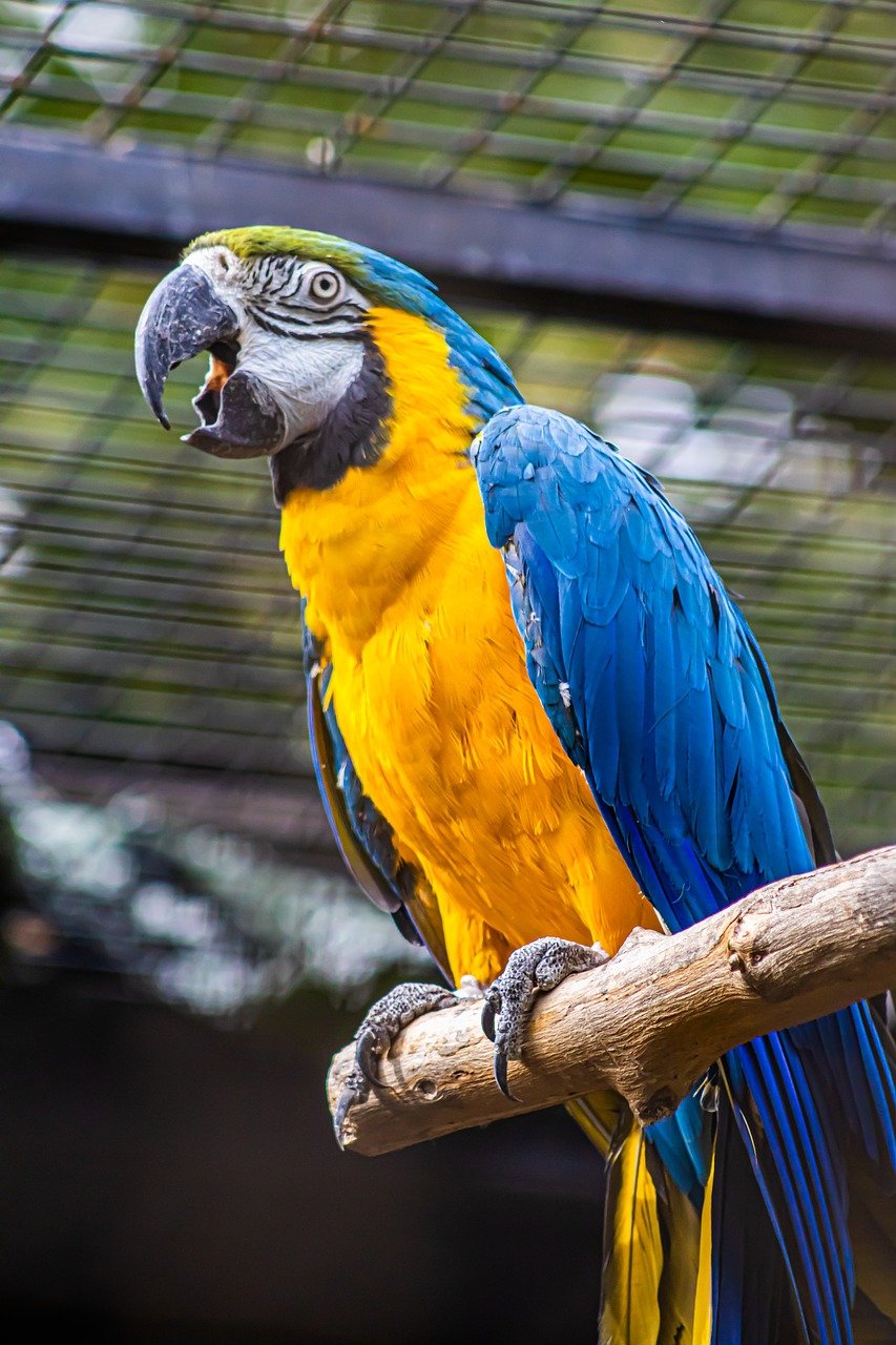 zoo-8378189_1280